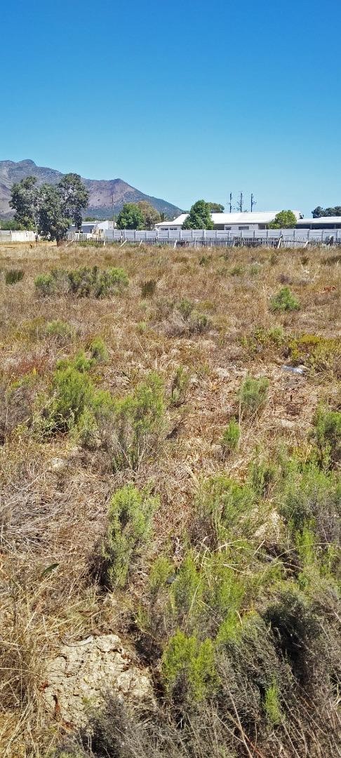 0 Bedroom Property for Sale in Fisherhaven Western Cape